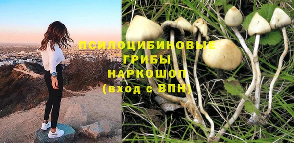 молекула духа Козловка