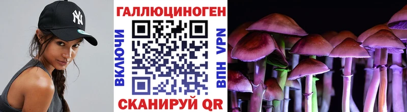 Псилоцибиновые грибы GOLDEN TEACHER  Купить закладки  Бологое 