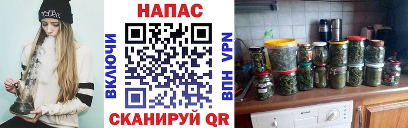 Купить Бологое Бошки марихуана THC 21%